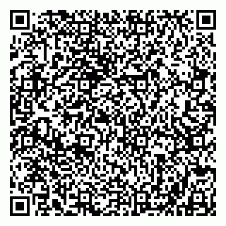 vCard 79803500270
