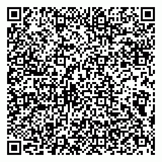 vCard 79803500280
