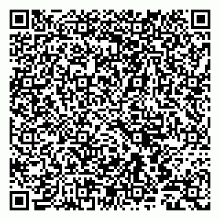vCard 79803500282