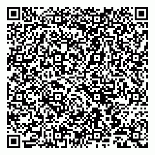 vCard 79803500291