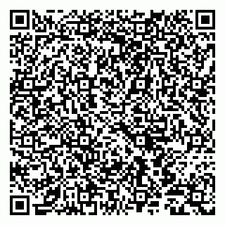 vCard 79803500293