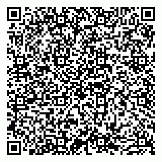 vCard 79803500294