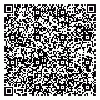 vCard 79803500295