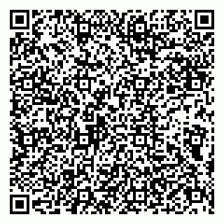 vCard 79803500297
