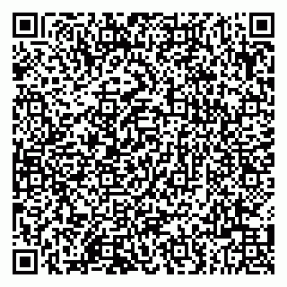 vCard 79803500300