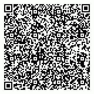 vCard 79803500303