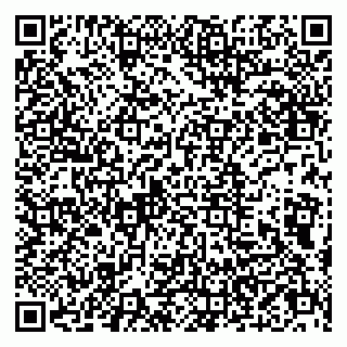 vCard 79803500305
