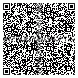 vCard 79803500312
