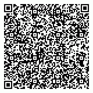 vCard 79803500313
