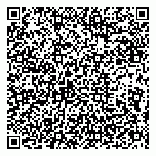 vCard 79803500314