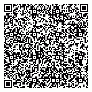 vCard 79803500318