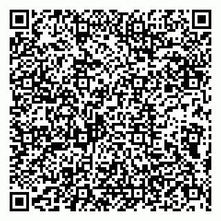 vCard 79803500319