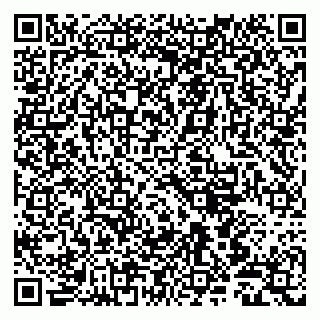 vCard 79803500321