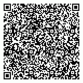 vCard 79803500322
