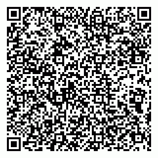 vCard 79803500324