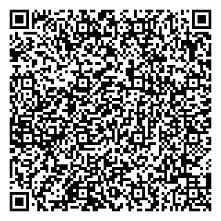 vCard 79803500328