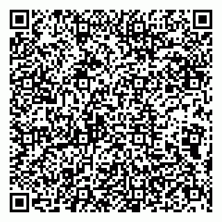vCard 79803500329
