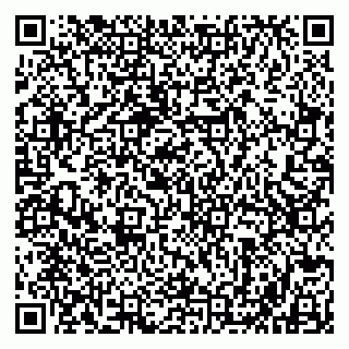 vCard 79803500330