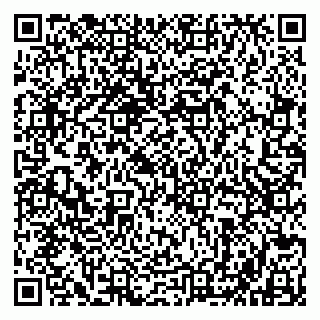 vCard 79803500331