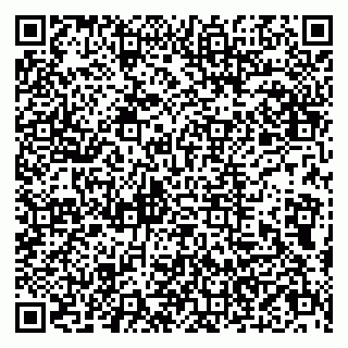 vCard 79803500333