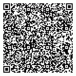 vCard 79803500352