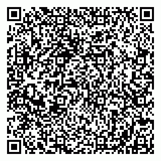 vCard 79803500354