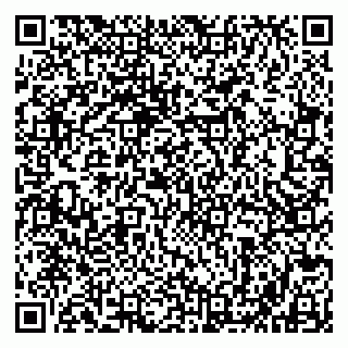 vCard 79803500365