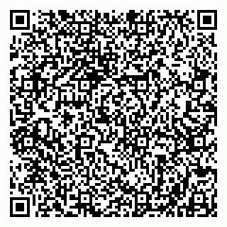 vCard 79803500370