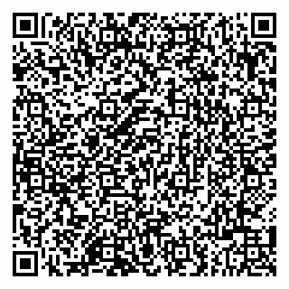 vCard 79803500374