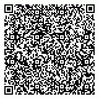 vCard 79803500376