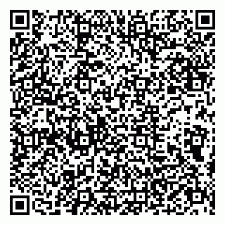 vCard 79803500378
