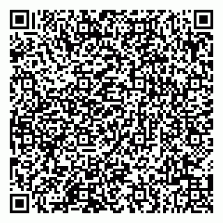 vCard 79803500381