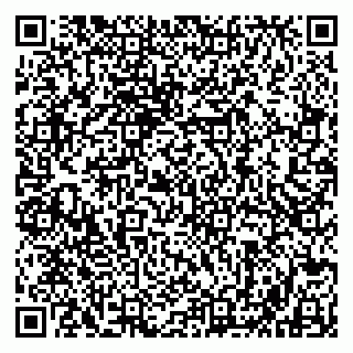 vCard 79803500384