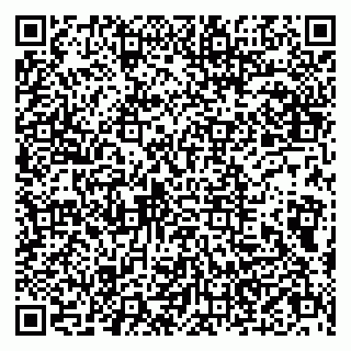 vCard 79803500386