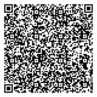 vCard 79803500387