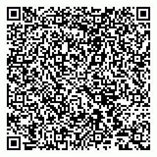 vCard 79803500389