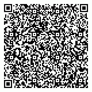 vCard 79803500390