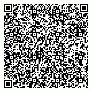 vCard 79803500391