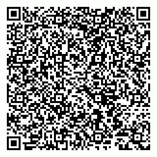 vCard 79803500393