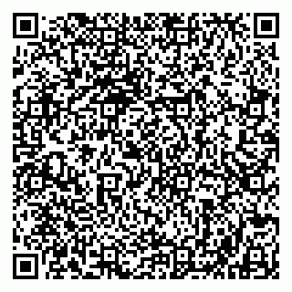 vCard 79803500394