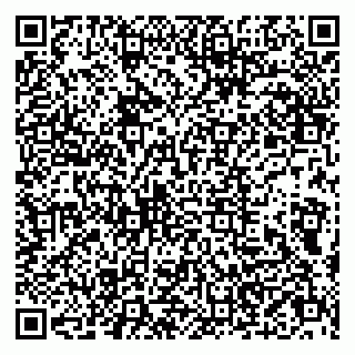 vCard 79803500395