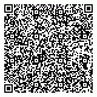 vCard 79803500396