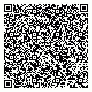 vCard 79803500397