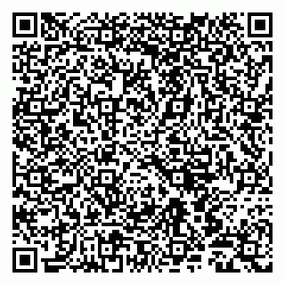vCard 79803500399