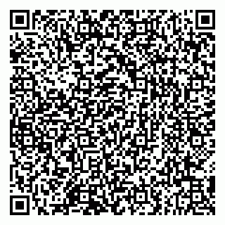 vCard 79803549713