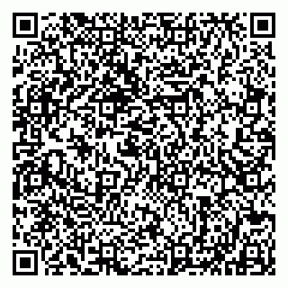 vCard 79803552640