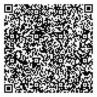 vCard 79803552731