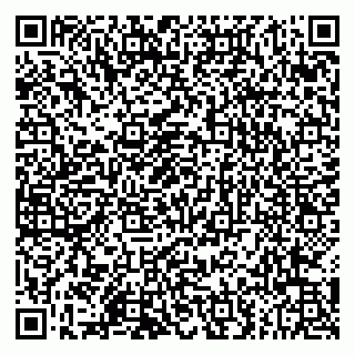 vCard 79803555004