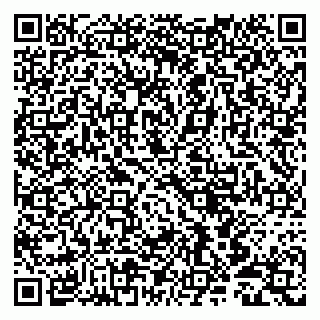 vCard 79803555008