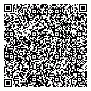 vCard 79803555028